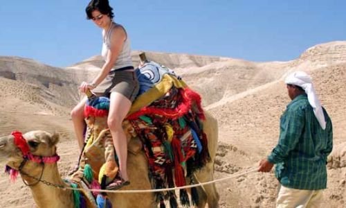 ЭКСКУРСИЯ ПУСТЫНЯ И БЕДУИНЫ